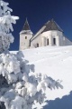 Sličica za različico 07:55, 22. januar 2021